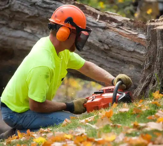 tree services Saxapahaw